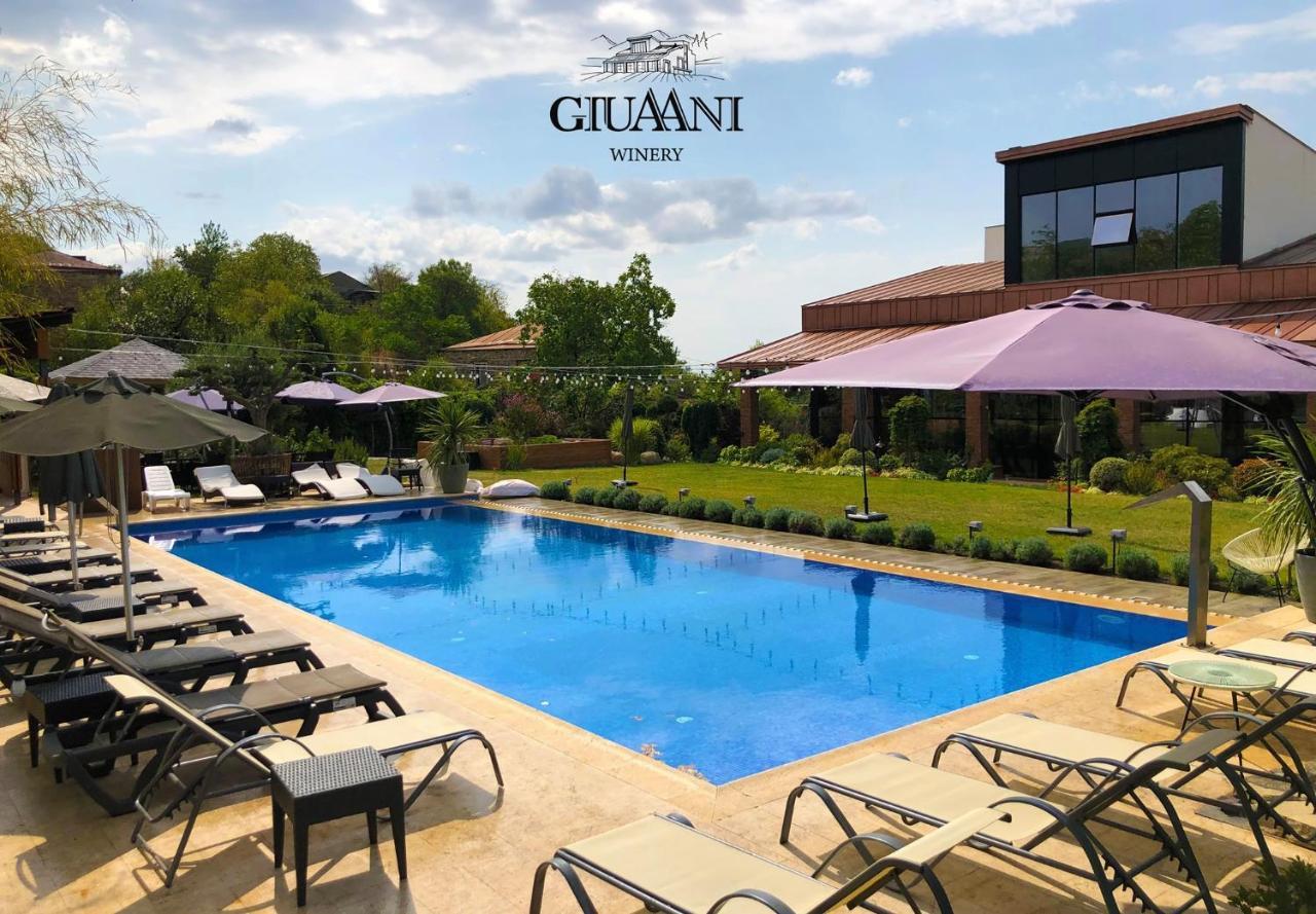 Giuaani Winery Hotel Manavi Exterior foto